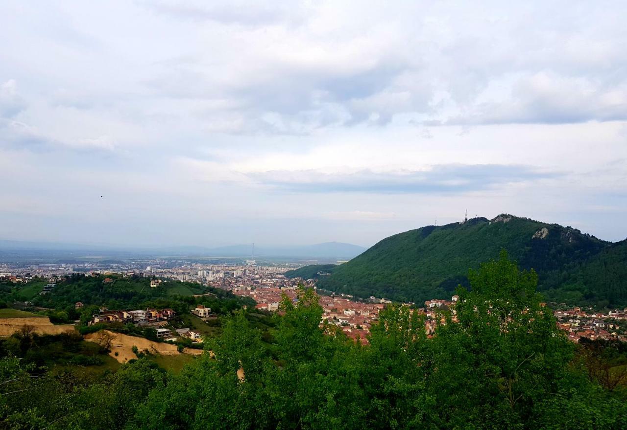 Mountain Relax
